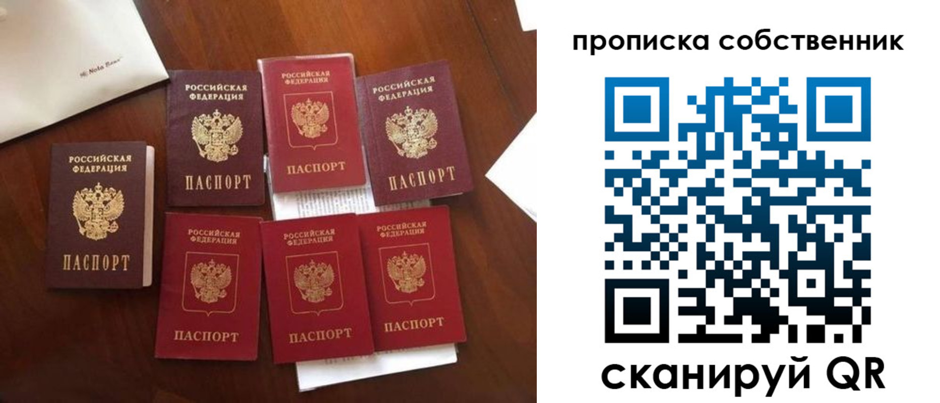 прописка для школы в Рыльске